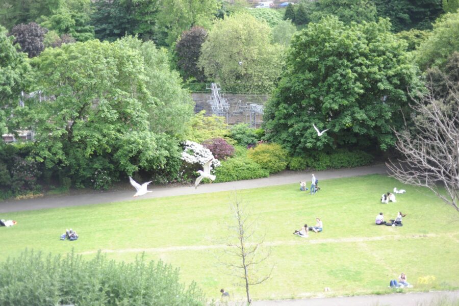 Drone flying park