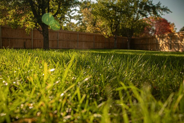 Robot lawn mower