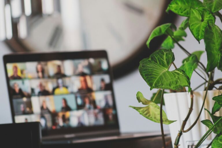 Video call laptop